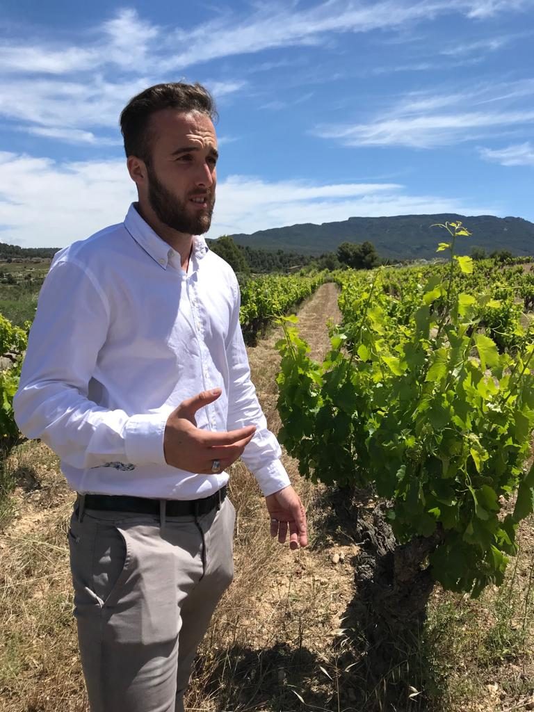 eDU - VINYES