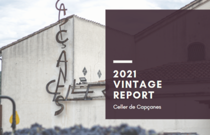capçanes Vintage report 2021 front