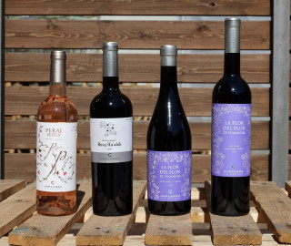 Kosher wines Celler de Capçanes